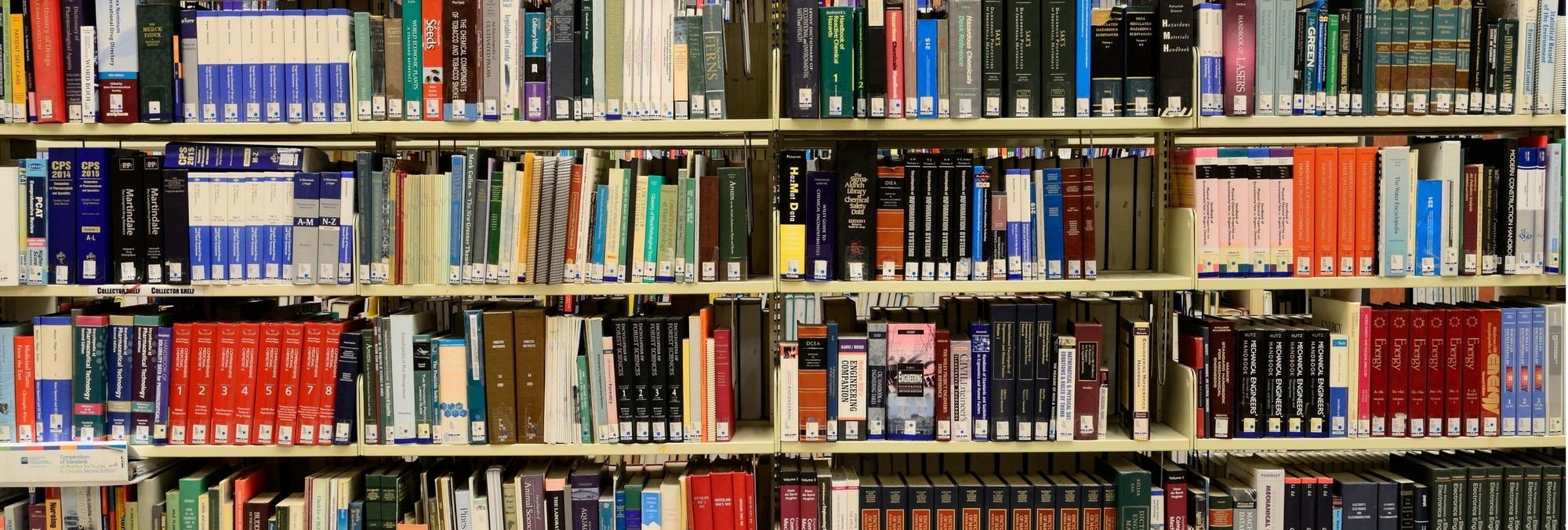library shelves.jpg