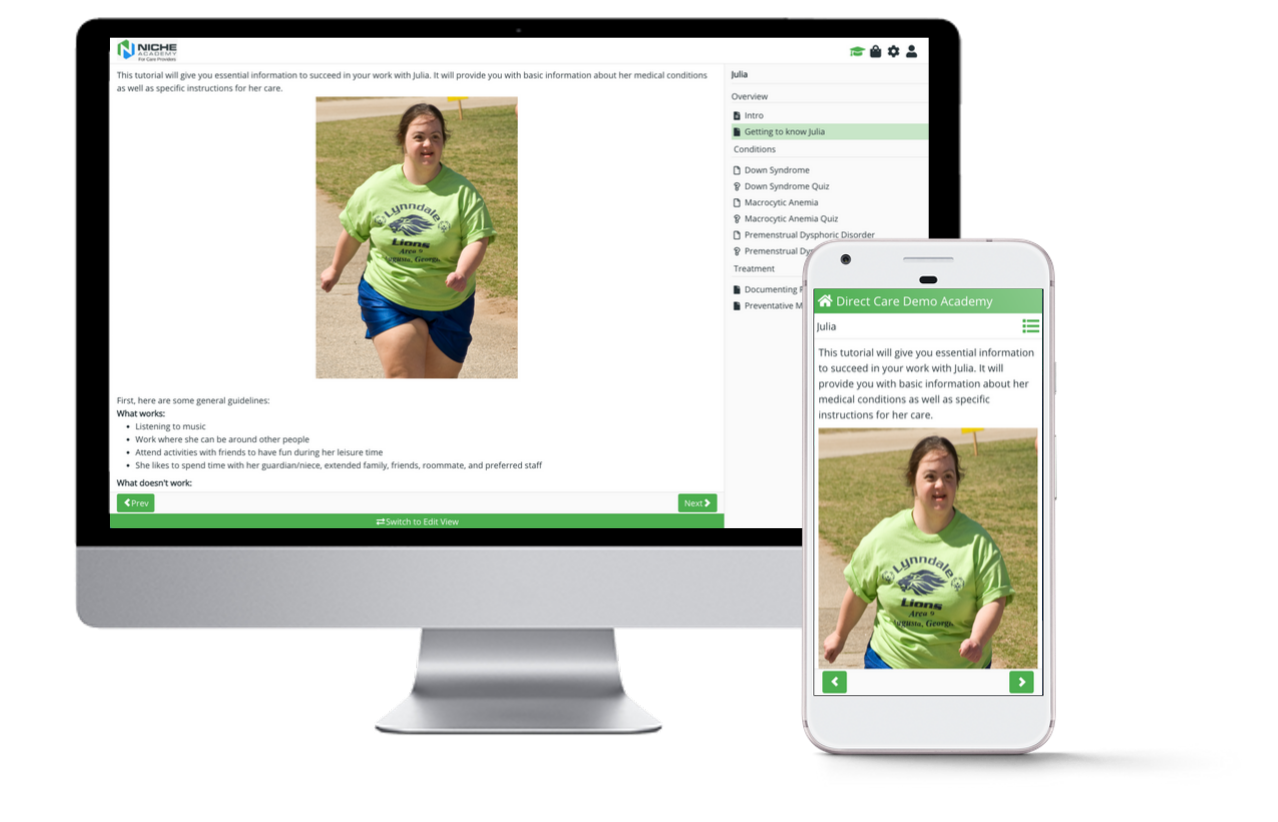 online learning management system