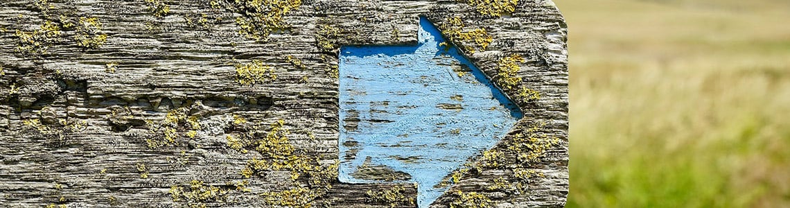 A wooden sign with a blue arrow in front of a field of grass