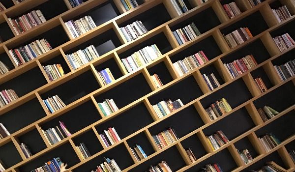 Webinar: Dismantling Institutional Racism in your Library: From Theory to Practice